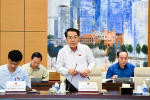 Trưởng ban Dân nguyện, ông Dương Thanh Bình trình bày báo cáo.