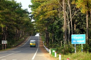 Một góc thị trấn Măng Đen.