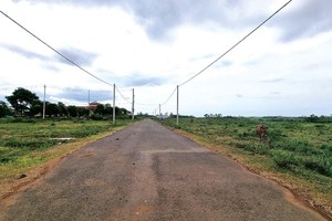 Nhiều lô đất tại Quảng Trị đấu giá cao ngất ngưởng, xong bỏ cọc