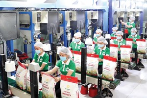 Giá gạo xuất khẩu gần đây có diễn biến tăng. 