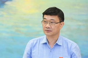 Chủ nhiệm Uỷ ban Kinh tế Vũ Hồng Thanh.