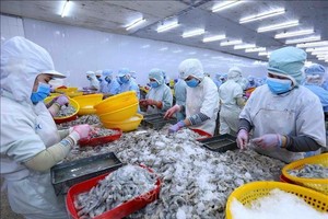 Thị trường Mỹ, Anh giảm mua tôm Việt do lạm phát