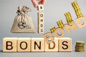 Nhiều nhà đầu tư đã không thể tìm hiểu đầy đủ rủi ro do một tỷ lệ lớn trái phiếu doanh nghiệp phát hành riêng lẻ được phân phối qua hệ thống ngân hàng 