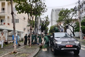 Lực lượng chức năng TP.Đà Nẵng dọn dẹp cây xanh gãy đổ sau bão.