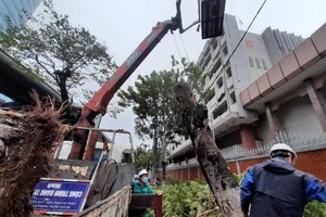 Bộ Tài chính đề nghị các doanh nghiệp bảo hiểm báo cáo bồi thường do bão Noru 