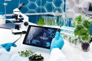 Ảnh minh họa (internet)