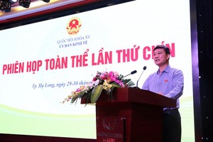 Chủ nhiệm Ủy ban Kinh tế Vũ Hồng Thanh phát biểu tại phiên họp. 