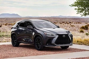 Lexus triệu hồi NX để cập nhật phần mềm điều khiển phanh