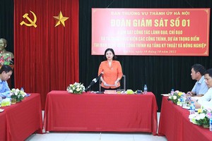 Hà Nội: Giám sát chặt chẽ các nhà thầu, không để lãng phí, thất thoát vốn đầu tư