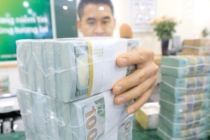 Việt Nam đã giảm được hiện tượng găm giữ, đầu cơ, tích trữ USD. Ảnh: Dũng Minh