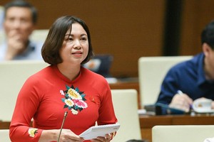 Đại biểu Đặng Bích Ngọc (Hòa Bình) chất vấn Thủ tướng Phạm Minh Chính.