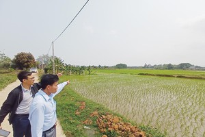 Bên đi săn đất ngộp chọn hàng rất kỹ