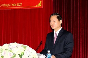 Ông Đoàn Anh Dũng phát biểu tại Hội nghị. (Ảnh: Nguyễn Thanh/TTXVN) 