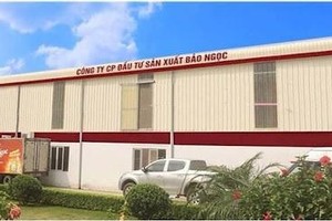 Công ty CP Đầu tư Sản xuất Bảo Ngọc bị phạt 225 triệu đồng do vi phạm trong giao dịch và không công bố thông tin.