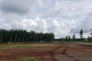 Nhiều dự án ở Kon Tum hiệu quả đầu tư thấp, gây lãng phí ngân sách