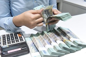 Tổng thư ký Hiệp hội Ngân hàng Nguyễn Quốc Hùng: Cơ quan quản lý nên xem xét phân bổ chỉ tiêu tín dụng ngay từ đầu năm 