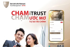 DFVN cung cấp cho khách hàng các giải pháp bền vững để đầu tư tích lũy tài sản hiệu quả theo thời gian
