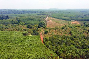 Rừng Khu Dự trữ sinh quyển thế giới Đồng Nai nhìn từ trên cao