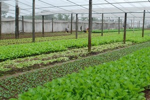 Hà Nội điều chỉnh chỉ tiêu quy hoạch sử dụng đất của huyện Hoài Đức đến năm 2030 