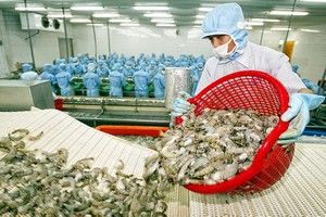 Ngành nông nghiệp thắng lợi lớn trong năm 2022, với kim ngạch xuất khẩu 53,2 tỷ USD, xuất siêu kỷ lục 8,5 tỷ USD.