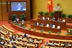 Phiên thảo luận tại hội trường về Quy hoạch tổng thể quốc gia.