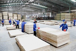 Ngành gỗ kỳ vọng đạt tốc độ tăng trưởng 9% trong năm nay, tương đương kim ngạch xuất khẩu 18 tỷ USD.