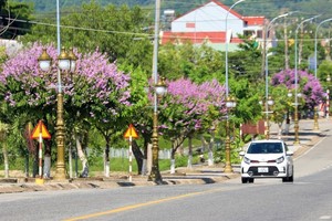 Dự án Nhà ở xã hội khu quy hoạch 5B - CC5 tìm được nhà đầu tư 