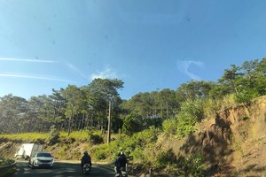 Lâm phần 2 doanh nghiệp quản lý ở Lâm Đồng bị “xẻ thịt” 