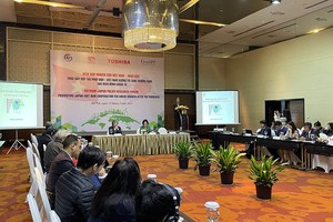 Diễn đàn nghiên cứu Việt Nam - Nhật Bản với chủ đề “Thúc đẩy hợp tác Nhật Bản - Việt Nam hướng tới tăng trưởng xanh sau dịch bệnh Covid-19”. (Ảnh: K.T)