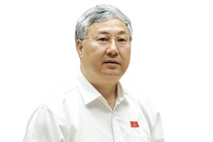 Ủy viên thường trực Ủy ban Tài chính - Ngân sách của Quốc hội Trần Văn Lâm.