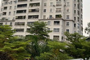 Quy định về chấm dứt quyền sở hữu nhà chung cư cần được cân nhắc thấu đáo.