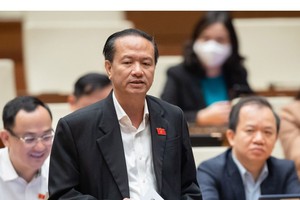 Đại biểu Đinh Ngọc Minh phát biểu tại hội trường.