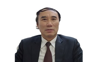 Ông Nguyễn Văn Phụng, nguyên Cục trưởng Cục Thuế doanh nghiệp lớn (Tổng cục Thuế)