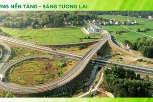 CC1 đạt sự tăng trưởng tích cực về doanh thu trong bối cảnh ngành xây dựng còn gặp nhiều khó khăn