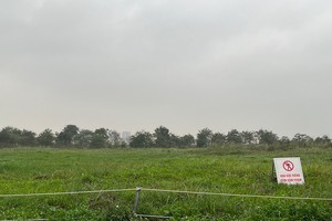 Sau khi tiếp thu ý kiến nhân dân, Dự thảo Luật Đất đai sửa đổi thu hẹp phạm vi áp dụng giá đất cụ thể - (Ảnh: Mỹ An).