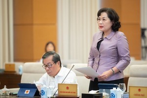 Thống đốc Ngân hàng Nhà nước Nguyễn Thị Hồng phát biểu tại phiên họp. 