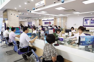 BIDV có kế hoạch tăng vốn điều lệ để tiếp tục giữ vai trò chủ lực trong cung ứng vốn hỗ trợ nền kinh tế. Ảnh: Đức Thanh