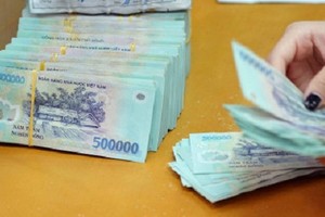 Tình trạng sở hữu chéo, thao túng, lợi ích nhóm trong lĩnh vực ngân hàng vẫn rất đáng lo ngại, theo đánh giá của Ủy ban Kinh tế. 