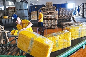Khó khăn chồng chất, nhiều công ty cao su phải tạm ngừng kinh doanh 