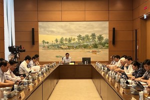 Phiên thảo luận sáng 25/5 của Tổ 4 (Ảnh: Mỹ An).