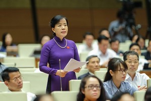 Đại biểu Quốc hội Nguyễn Thị Kim Thúy.