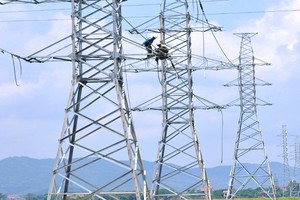Dự án xây dựng Trạm biến áp 110kV Xuân Thọ (Lâm Đồng) gặp khó về mặt bằng 