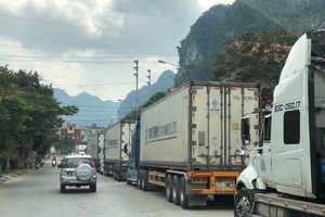 Thủ tướng chỉ đạo triển khai các biện pháp cấp bách giảm ùn ứ và thúc đẩy xuất khẩu nông sản tại cửa khẩu biên giới phía Bắc. 