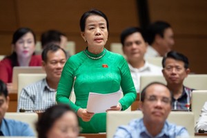 Đại biểu Nguyễn Thị Kim Thúy phát biểu tại hội trường. 