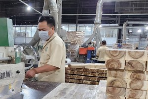 Keo dán gỗ được Bộ Nông nghiệp và Phát triển nông thôn bổ sung vào danh mục hàng hoá nhóm 2, nhưng đến ngày có hiệu lực vẫn không chỉ định đơn vị đánh giá sự phù hợp. Ảnh minh họa