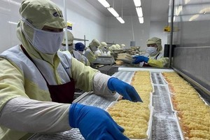 Xuất khẩu năm 2023 đối diện hàng loạt khó khăn do các thị trường lớn đều giảm sức mua.