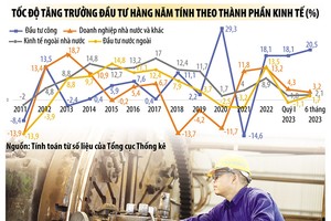 Chỉ đầu tư ngân sách tăng, còn đầu tư khác có xu hướng giảm và thấp. Ảnh: Đức Thanh; Đồ họa: Thanh Huyền