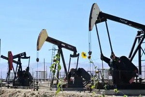 Giá dầu thô được dự đoán tiếp tục tăng cao khi nguồn cung eo hẹp trong những tháng còn lại của năm 2023. Ảnh: AFP