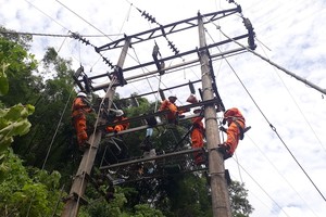 Điện lực Quan Hoá thuộc PC Thanh Hoá thực hiện di chuyển cầu dao phụ tải 