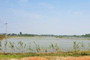 Hiện trạng khu vực được quy hoạch thực hiện dự án Khu đô thị sinh thái ven sông phía Tây Bắc đường Lê Lợi, TP. Đồng Hới (khu đô thị mới). Ảnh: Ngọc Tân 